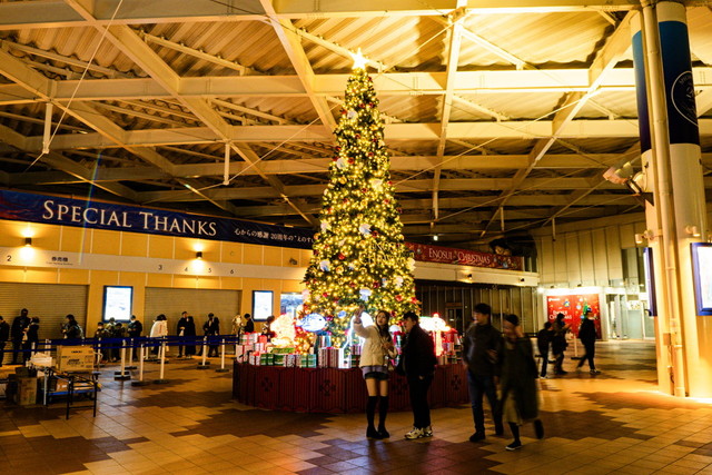 新江ノ島水族館　クリスマスツリー